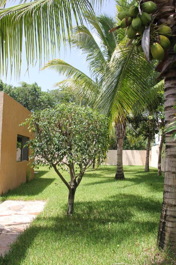 Myoli Wellness & Happiness Bnb Playa del Carmen Exteriér fotografie